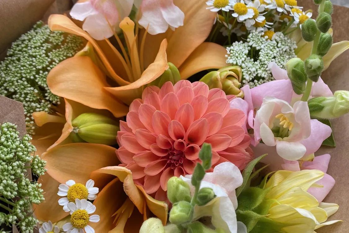 New-Mercies-Bloom-Alt-1125x750-80p