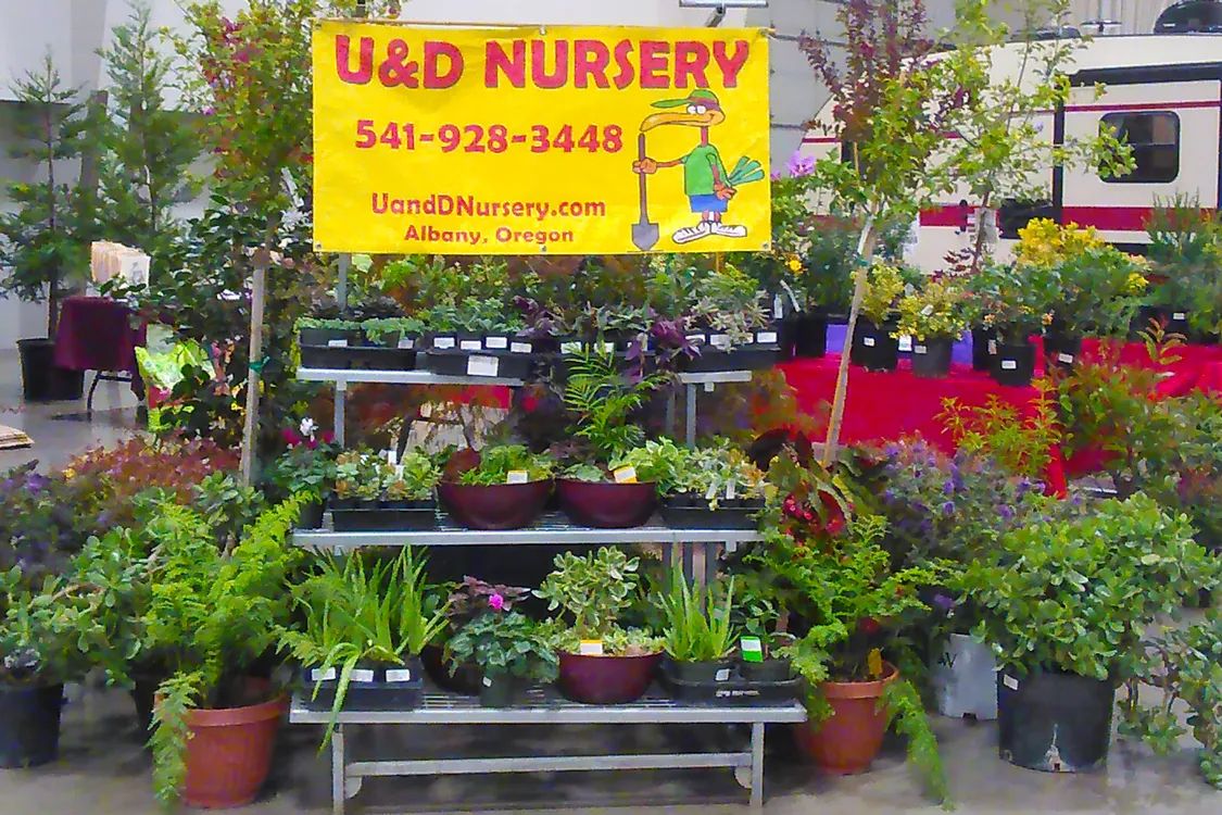 U-And-D-Nursery-1125x750-1