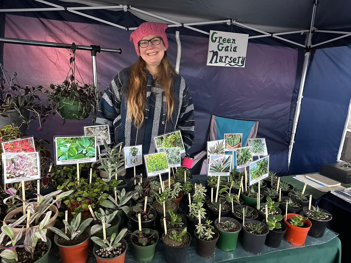 Green Gaia market-pic-ciwm