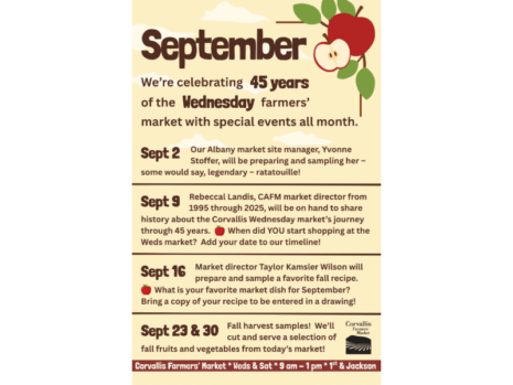 Our Vendors-1-september