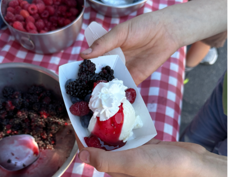 Our Vendors-18-sundaes