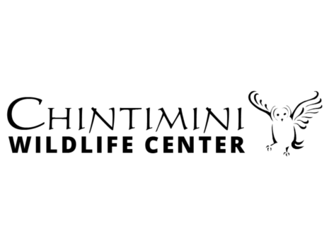 Our Vendors-29-Chintimini