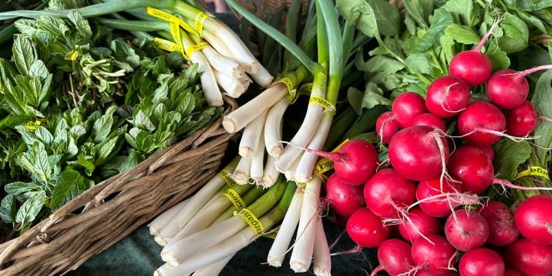 Winter Market 2026 800x400 75p